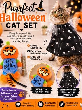 Life Is Good Halloween Pumpkin Cat Toy - Orange, Blue & Green Plush